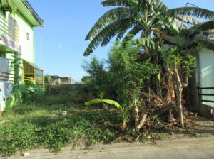 Test Ad 1
